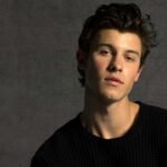 shawn mendes